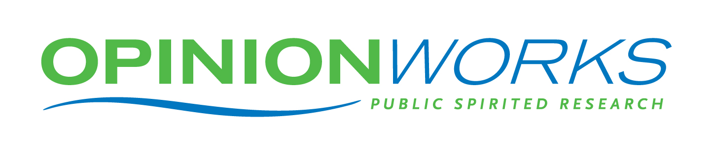 OpinionWorks logo