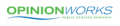 OpinionWorks logo